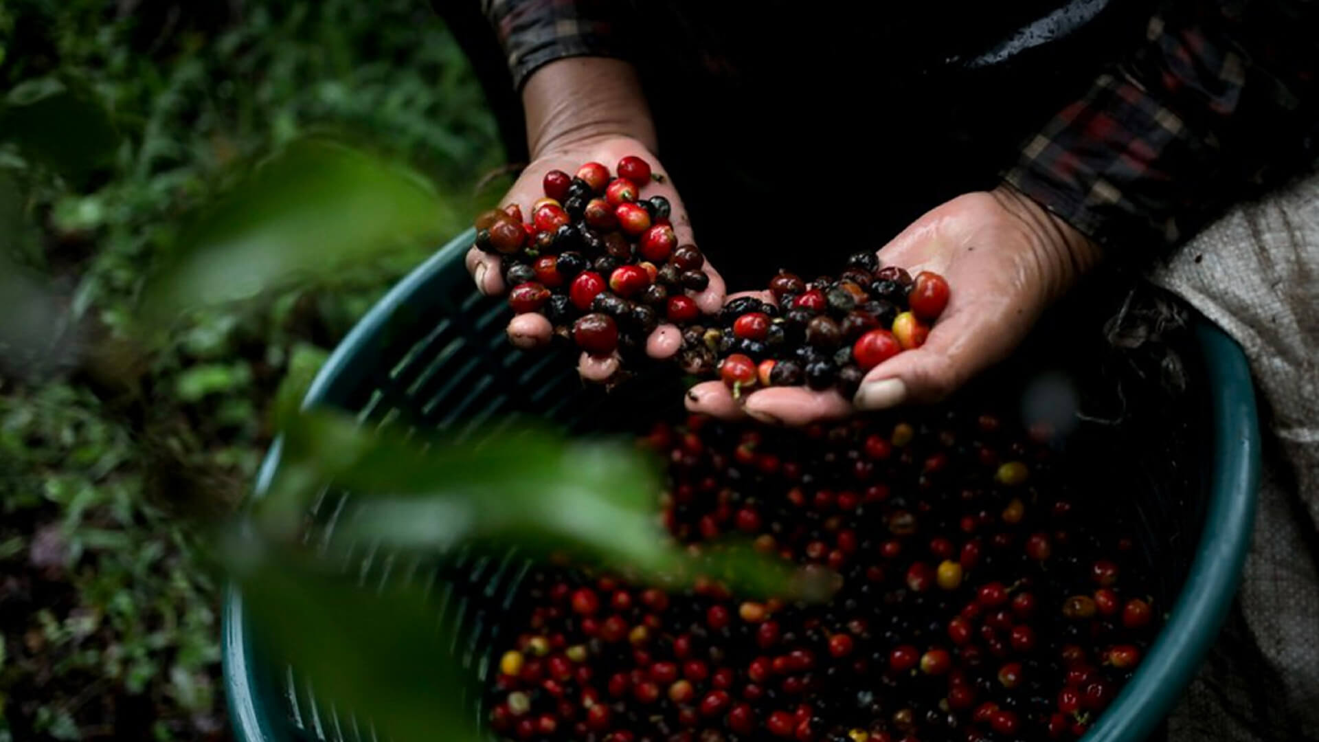 The Rise of AI-Powered Personal Assistants: How They Manage