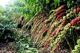 Tech Innovations Reshaping the Retail Landscape: AI Payments