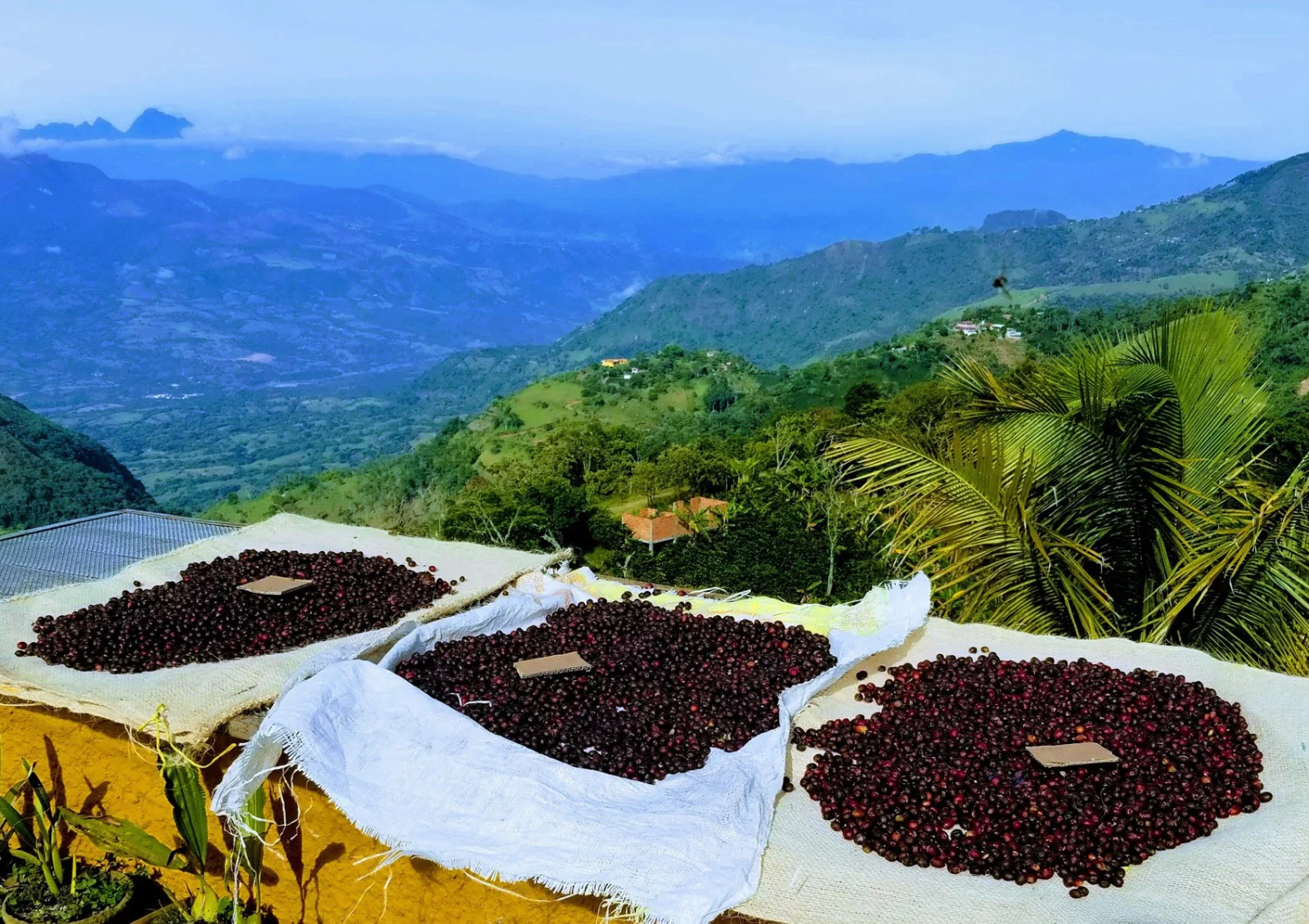 Tech Innovations Reshaping the Retail Landscape: AI Payments