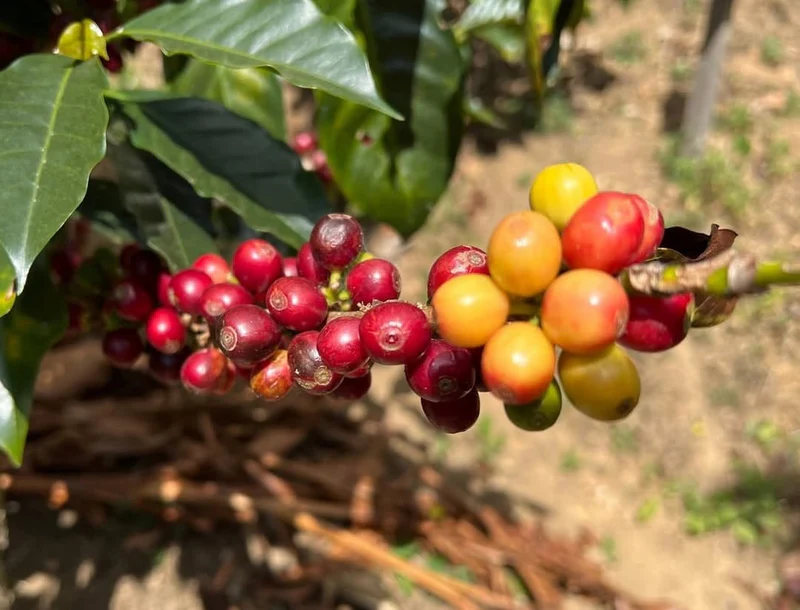 Tech Innovations Reshaping the Retail Landscape: AI Payments