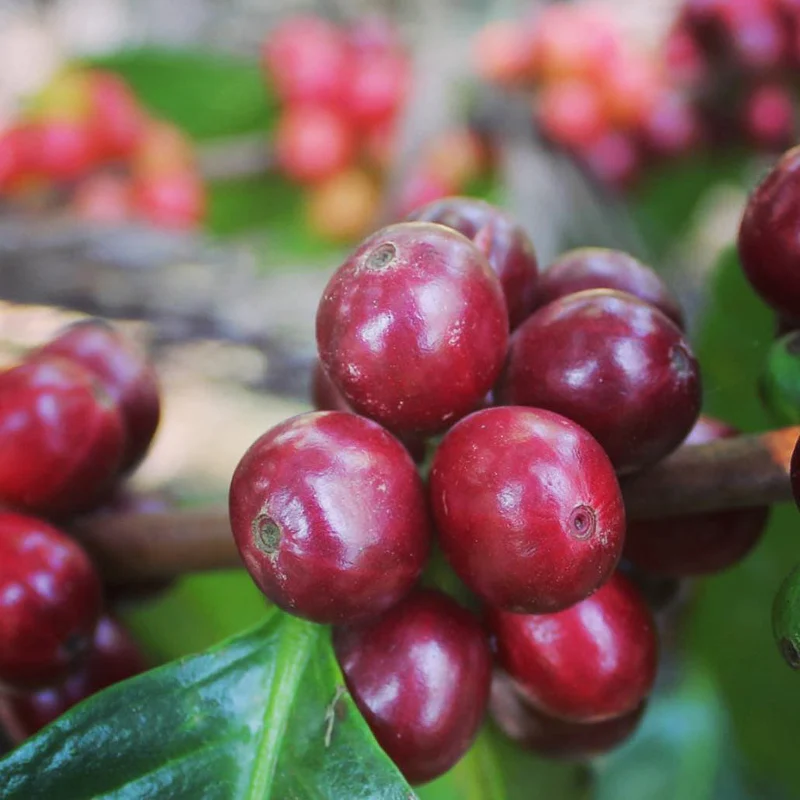 Tech Innovations Reshaping the Retail Landscape: AI Payments