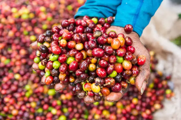 Tech Innovations Reshaping the Retail Landscape: AI Payments