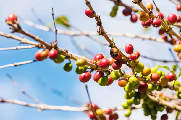 Tech Innovations Reshaping the Retail Landscape: AI Payments