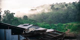 Tech Innovations Reshaping the Retail Landscape: AI Payments