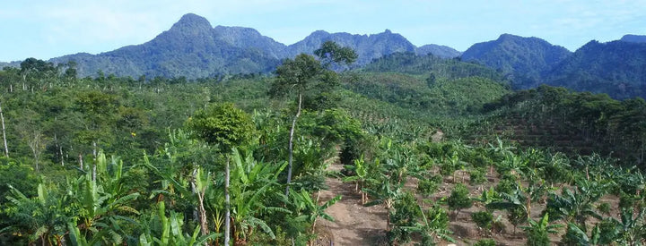 Tech Innovations Reshaping the Retail Landscape: AI Payments