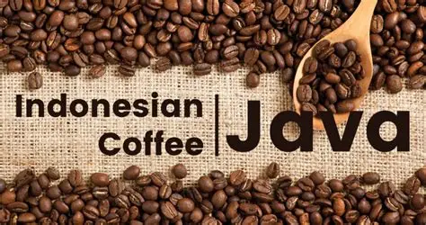 The Rise of AI-Powered Personal Assistants: How They Manage