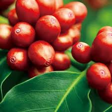 Tech Innovations Reshaping the Retail Landscape: AI Payments