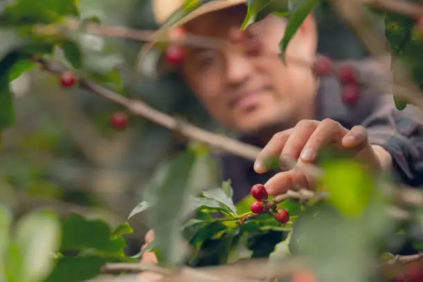 Tech Innovations Reshaping the Retail Landscape: AI Payments