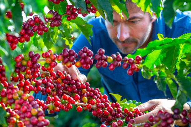 Tech Innovations Reshaping the Retail Landscape: AI Payments