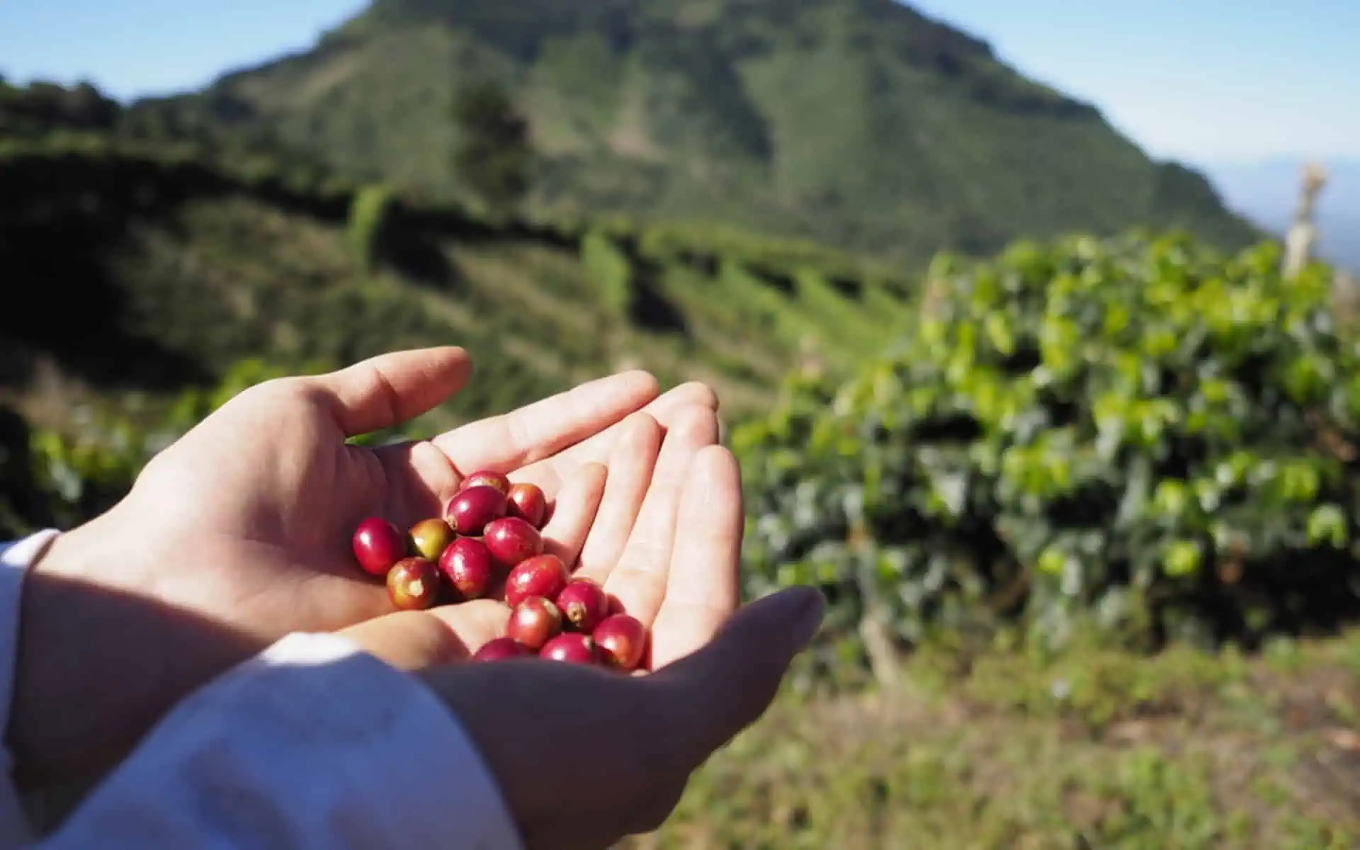 Tech Innovations Reshaping the Retail Landscape: AI Payments