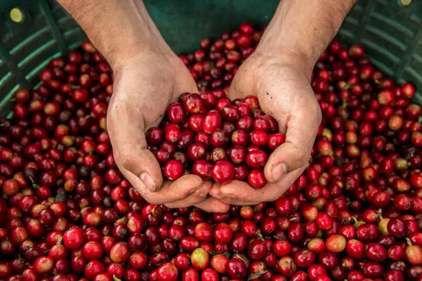 Tech Innovations Reshaping the Retail Landscape: AI Payments