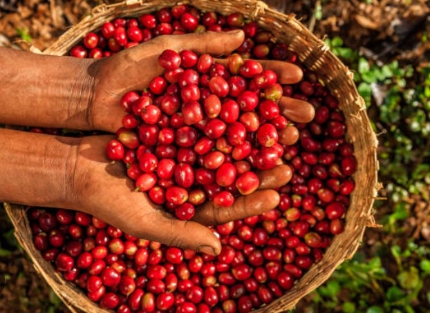 Tech Innovations Reshaping the Retail Landscape: AI Payments