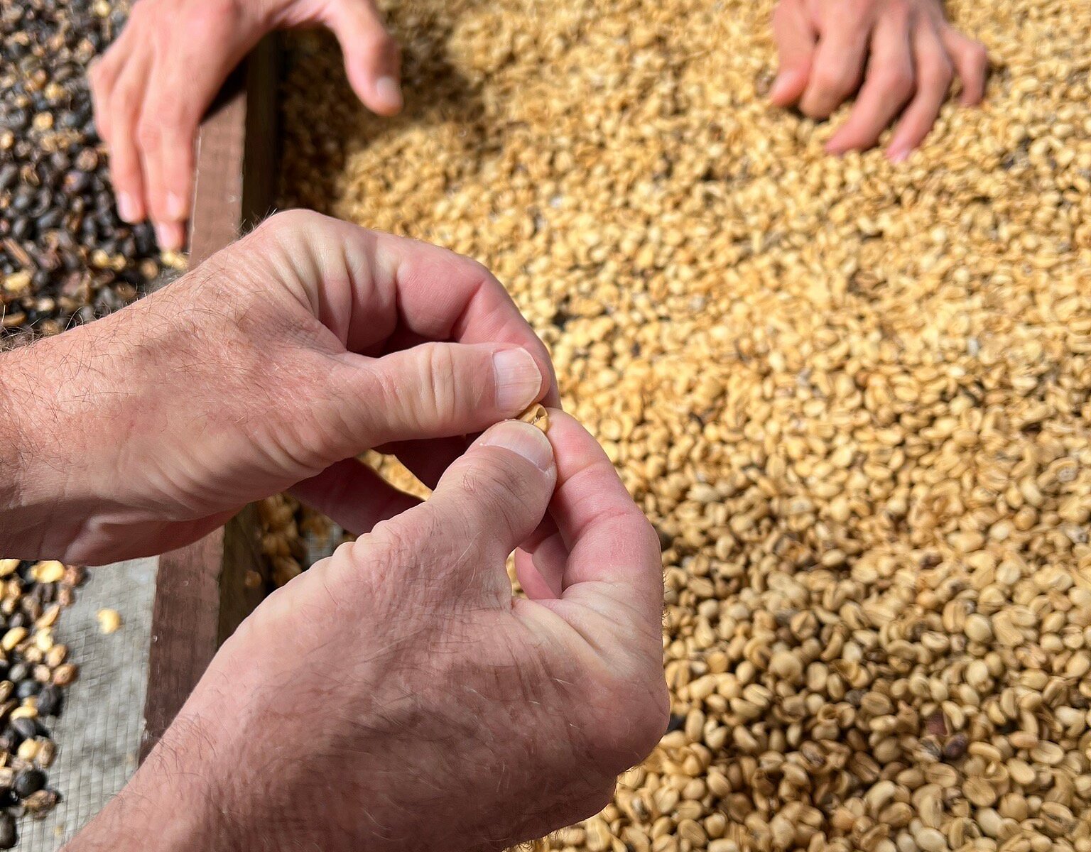 Tech Innovations Reshaping the Retail Landscape: AI Payments