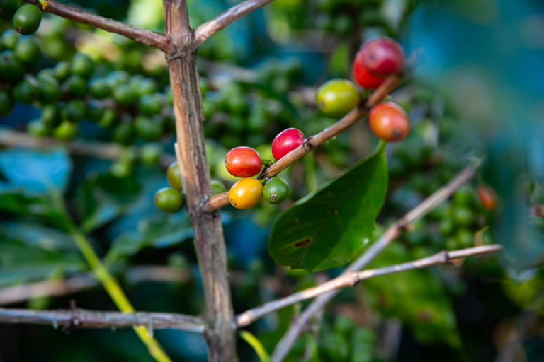 Tech Innovations Reshaping the Retail Landscape: AI Payments