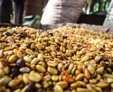 Tech Innovations Reshaping the Retail Landscape: AI Payments