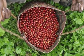 Tech Innovations Reshaping the Retail Landscape: AI Payments