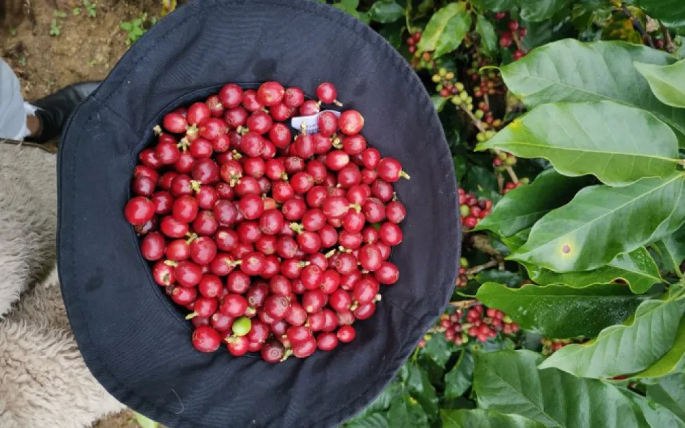 Tech Innovations Reshaping the Retail Landscape: AI Payments