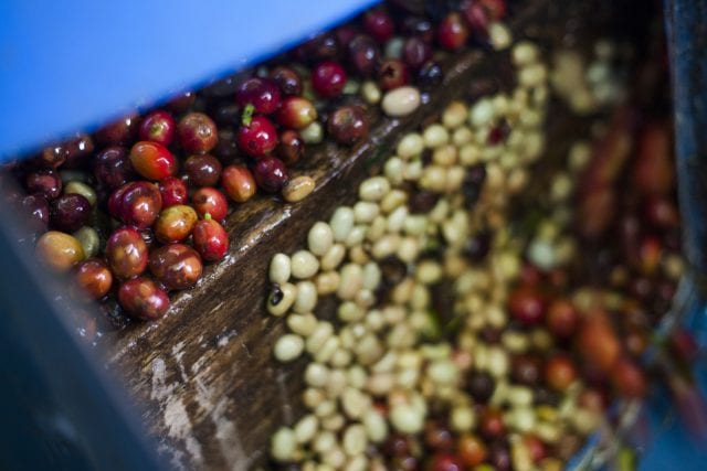 Tech Innovations Reshaping the Retail Landscape: AI Payments