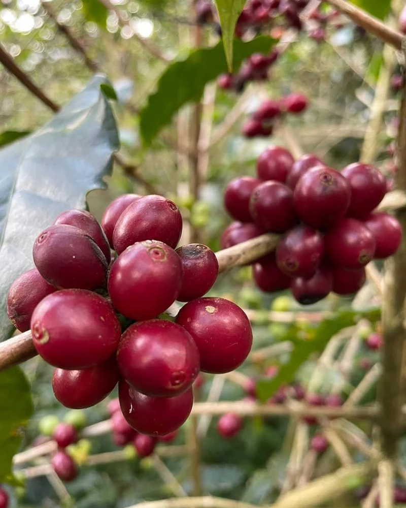 Tech Innovations Reshaping the Retail Landscape: AI Payments