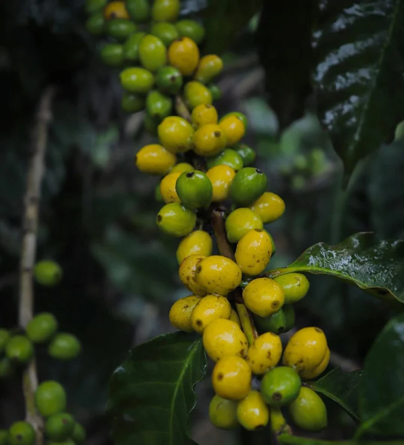 Tech Innovations Reshaping the Retail Landscape: AI Payments