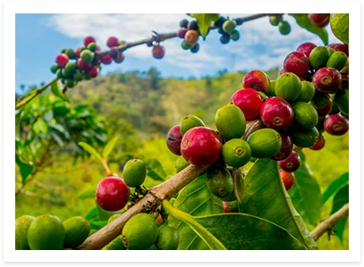 Tech Innovations Reshaping the Retail Landscape: AI Payments