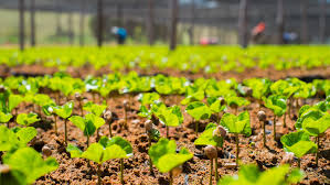 Tech Innovations Reshaping the Retail Landscape: AI Payments