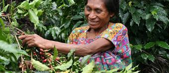 Tech Innovations Reshaping the Retail Landscape: AI Payments