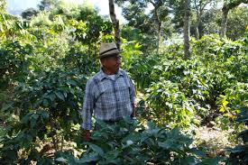 Tech Innovations Reshaping the Retail Landscape: AI Payments