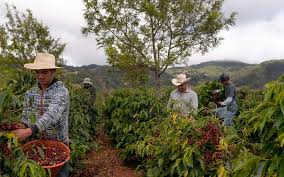 Tech Innovations Reshaping the Retail Landscape: AI Payments