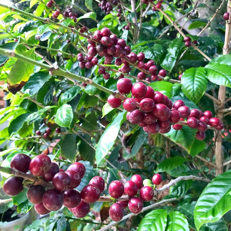 Tech Innovations Reshaping the Retail Landscape: AI Payments