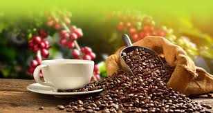 Tech Innovations Reshaping the Retail Landscape: AI Payments