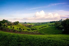 Nyeri country