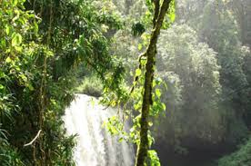 Tech Innovations Reshaping the Retail Landscape: AI Payments