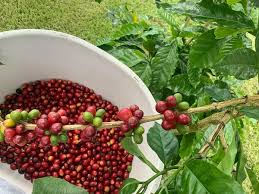 Tech Innovations Reshaping the Retail Landscape: AI Payments