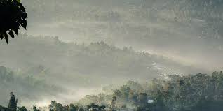 Tech Innovations Reshaping the Retail Landscape: AI Payments